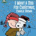 I Want a Dog for Christmas, Charlie Brown on Random Best '00s Christmas Movies