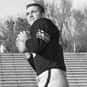 Jack Concannon is listed (or ranked) 15 on the list The Best Green Bay Packers Quarterbacks of All Time