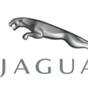 Jaguar Cars on Random Best Car Manufacturers