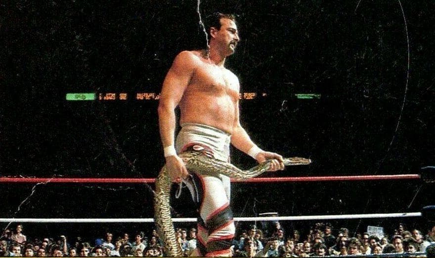 Jake 'The Snake' Roberts Was Afraid Of Snakes