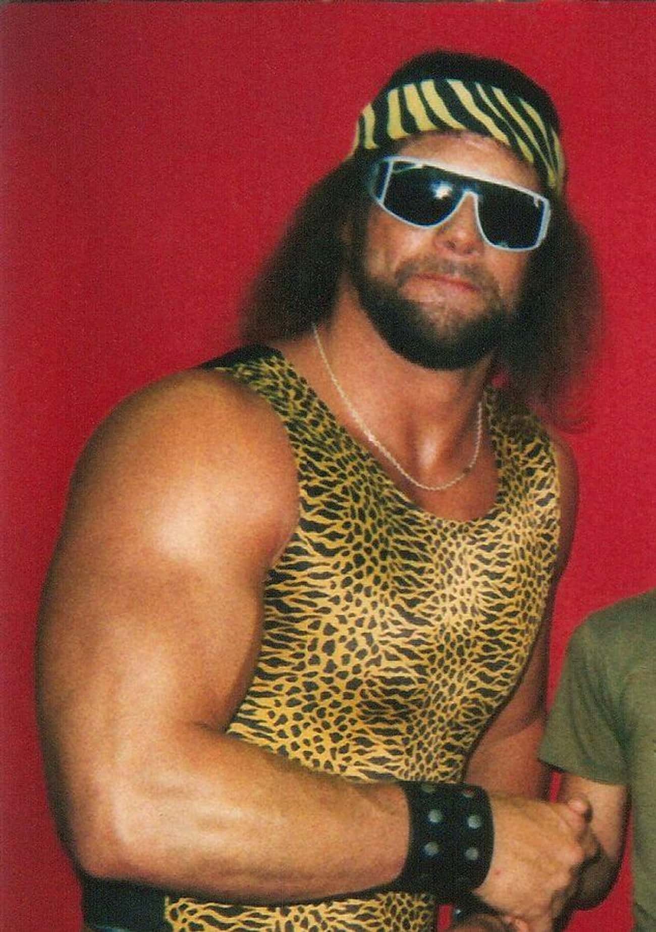 Jake The Snake’s Cobra Bit Randy Savage And Put Him In The Hospital