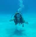 Jamaica on Random Best Countries for Scuba Diving