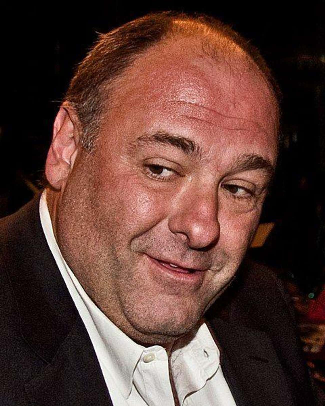 James Gandolfini Was With His Family When He Had A Heart Attack In Rome