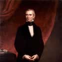 James K. Polk on Random Presidential Portraits