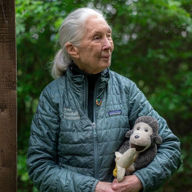 Jane Goodall