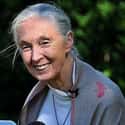 Jane Goodall on Random Most Inspiring Female Role Models