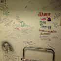 Janis Joplin on Random Celebrities Who Were Found Dead In Hotels