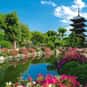 Japan is listed (or ranked) 3 on the list The Best Countries to Travel To