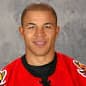 Best Black Hockey Players | Top African American Hockey Player List