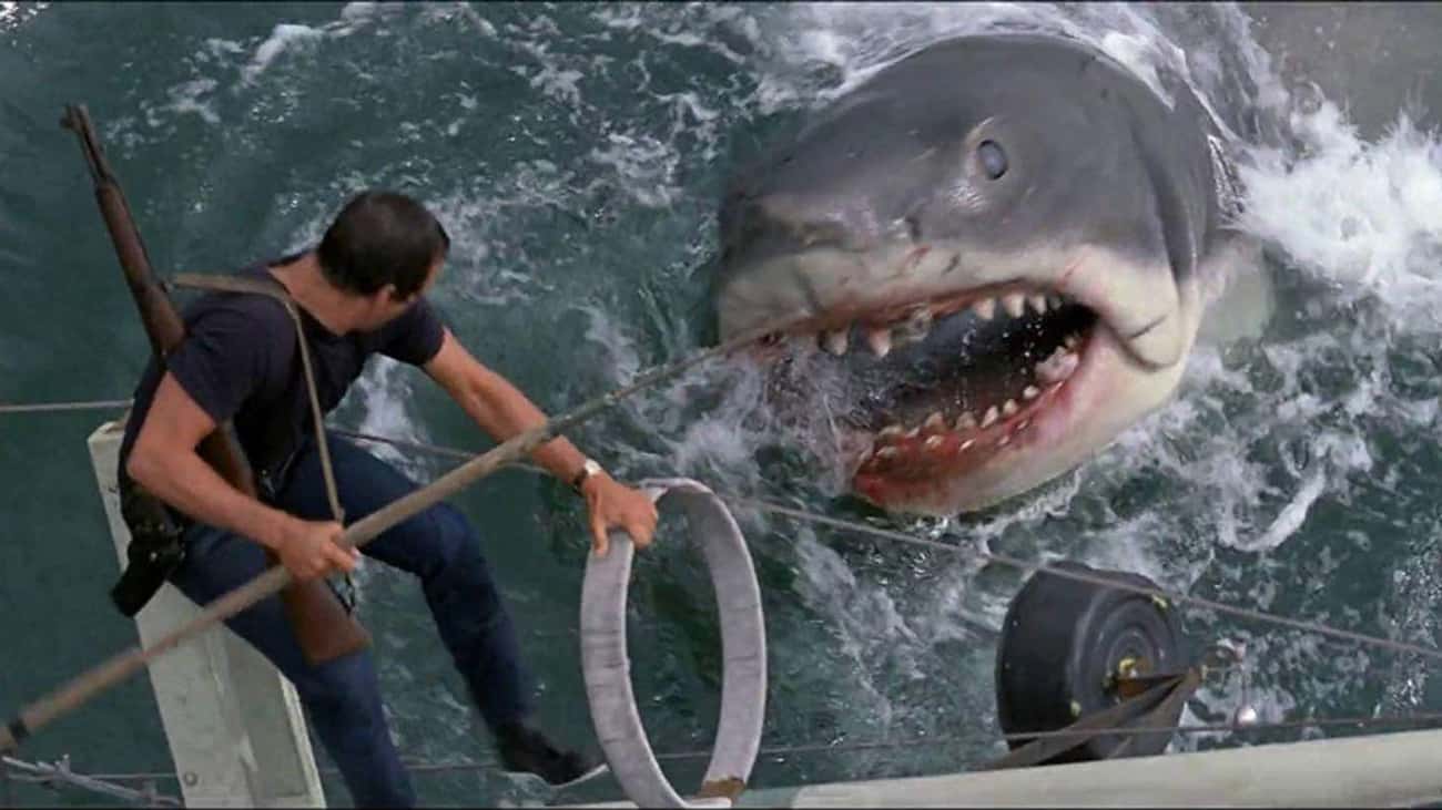 'Jaws' - The Slasher Is A Shark