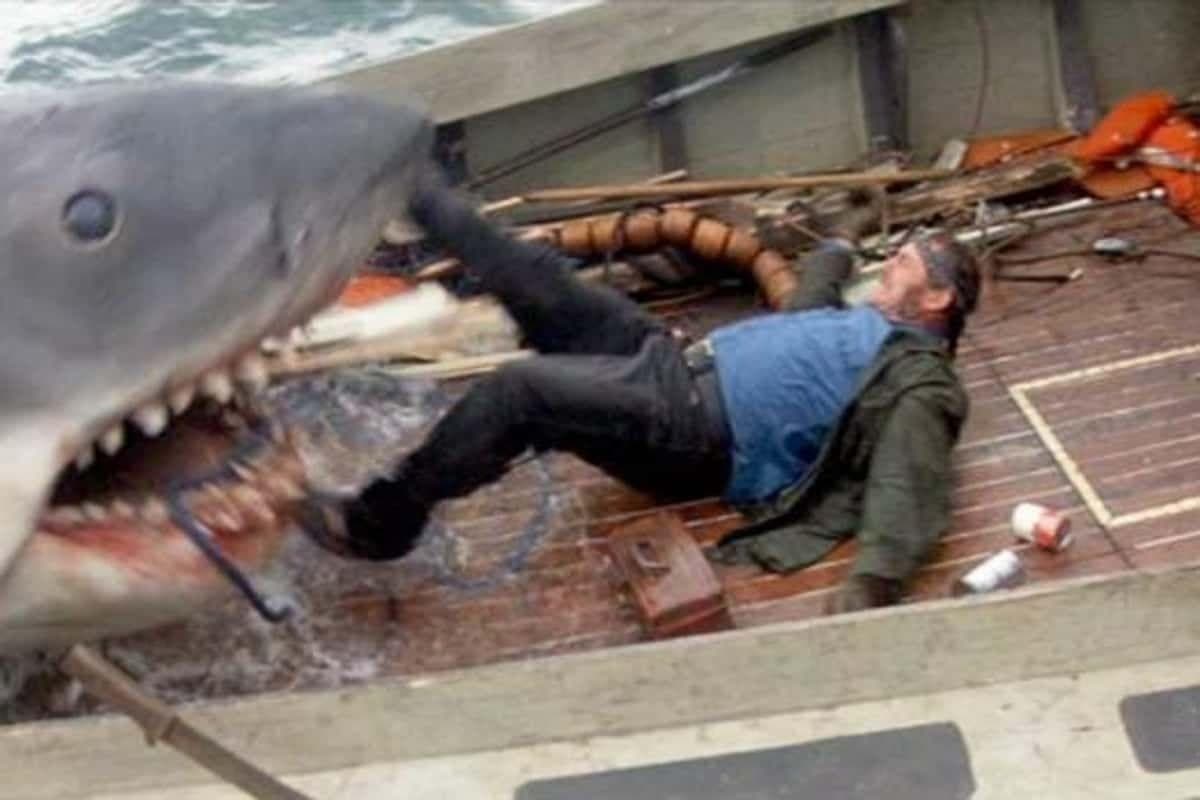 13 Movies That Go Way Harder Than Their Ratings, Ranked By How ...