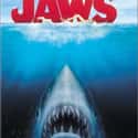 Jaws on Random Best Steven Spielberg Movies
