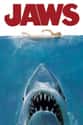 Jaws on Random Scariest Ship Horror Movies Set on Sea