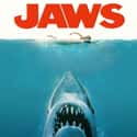 Steven Spielberg, Richard Dreyfuss, Roy Scheider   Jaws is a 1975 American thriller film directed by Steven Spielberg and based on Peter Benchley's novel of the same name.