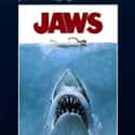 Jaws on Random Best Adventure Movies