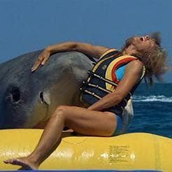Jaws: The Revenge