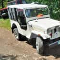 Jeep CJ on Random Best Off-Road Vehicles