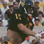 Jeff Hostetler is listed (or ranked) 13 on the list The Best West Virginia Football Players of All Time