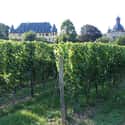 Schloss Vollrads on Random Best Wineries in the World