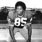 Jeris White is listed (or ranked) 20 on the list The Best Miami Dolphins Cornerbacks Of All Time