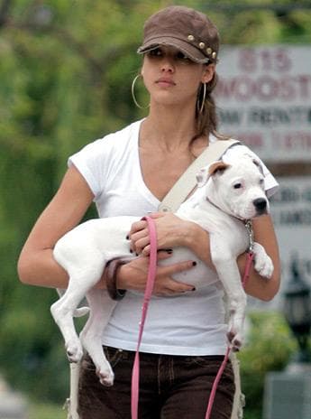28 Celebrities Who Adopted Pit Bulls