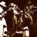 Blues-rock, Rock music, Electronic music   Jethro Tull were a British rock group, formed in Luton, Bedfordshire, in December 1967.