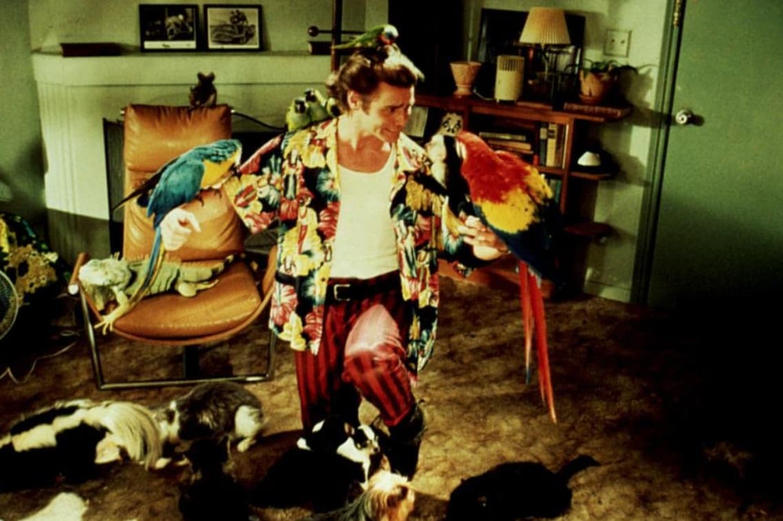 Jim Carrey Observed Birds To Get Inspiration For Ace Ventura's Movements 
