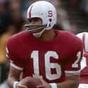 Jim Plunkett on Random Best Stanford Football Players