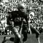 Jim Seymour is listed (or ranked) 39 on the list The Best Chicago Bears Wide Receivers of All Time