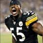 Joey Porter is listed (or ranked) 8 on the list The Best Pittsburgh Steelers Linebackers of All Time