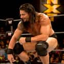 Roman Reigns on Random Best NXT Wrestlers