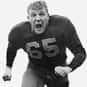 Joe Schmidt is listed (or ranked) 1 on the list The Best Detroit Lions Linebackers of All Time