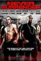 Never Surrender on Random Best MMA Movies About Fighting