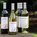 Beringer Vineyards on Random Quality Wines Brands at Best Prices