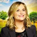 Parks and Recreation on Random Funniest Shows Streaming on Netflix