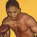 Welterweight   Johnny Saxton was an American professional boxer in the welterweight division.