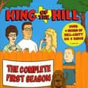 King of the Hill season 1 on Random Best Seasons of 'King Of The Hill'