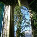 Plant houses Royal Botanic Garden Edinburgh on Random Top Must-See Attractions in Scotland