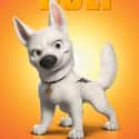 Bolt on Random Greatest Dogs in Cartoons and Comics