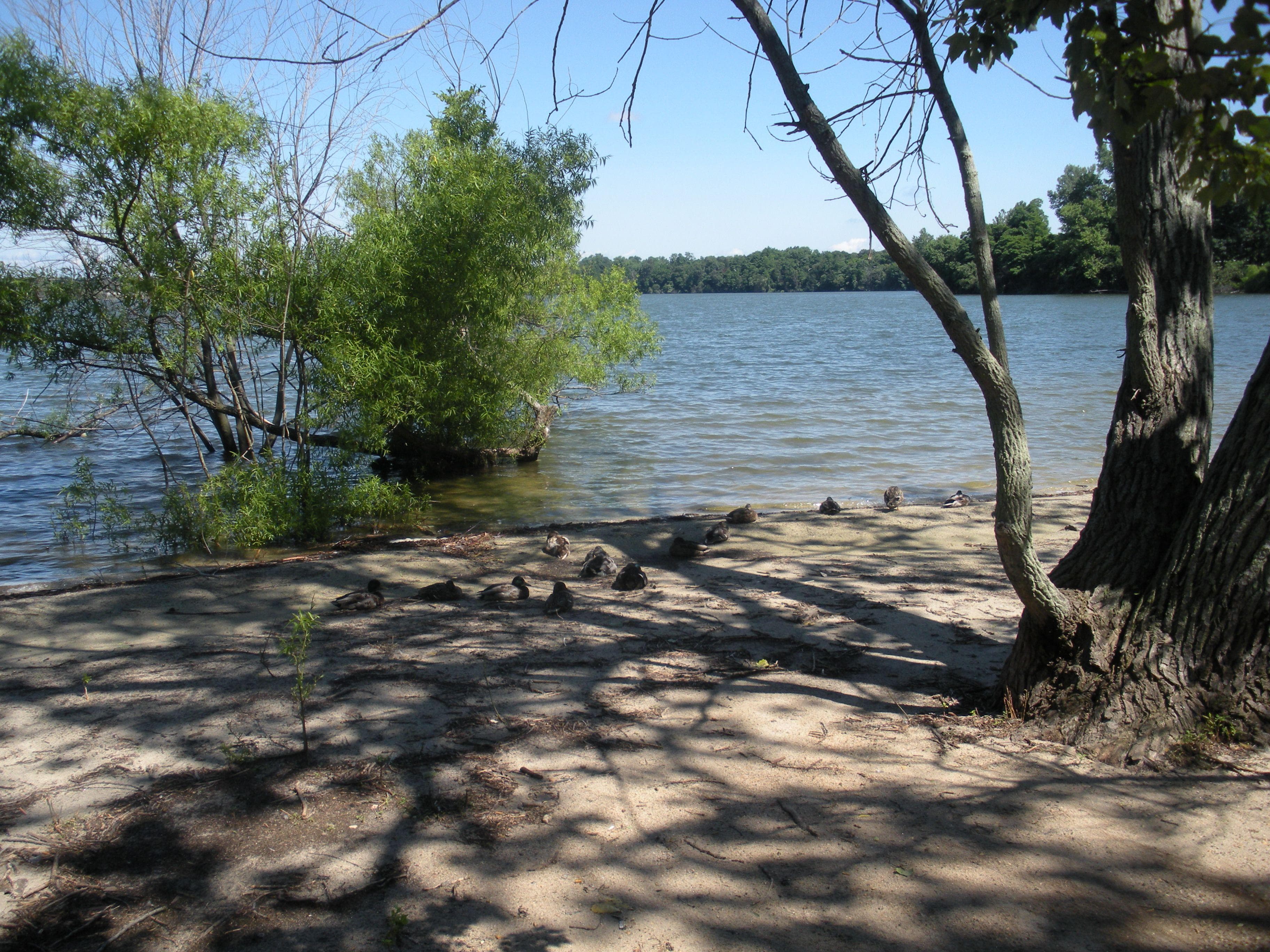 Lake Ronkonkoma In New York