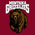 Montana Grizzlies basketball on Random Best Big Sky Basketball Teams