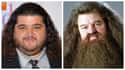 Jorge Garcia on Random Actors Would Star In An Americanized 'Harry Potter'