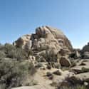 Joshua Tree National Park on Random Best Camping Spots in Southern California