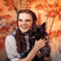 Judy Garland on Random Greatest Child Stars Who Are Still Acting