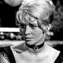 Julie Christie on Random Best Actresses to Ever Win Oscars for Best Actress
