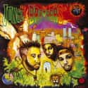 Straight Out the Jungle, Done by the Forces of Nature, Raw Deluxe   The Jungle Brothers are an American hip hop group that pioneered the fusion of jazz and hip-hop and also became the first hip-hop group to use a house-music producer.