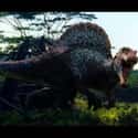 Jurassic Park III on Random Plot Holes That'll Ruin Your Favorite Horror Movies