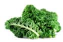 Kale on Random Types of Lettuce