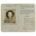 Katharine Hepburn on Random Celebrity Passport Photos