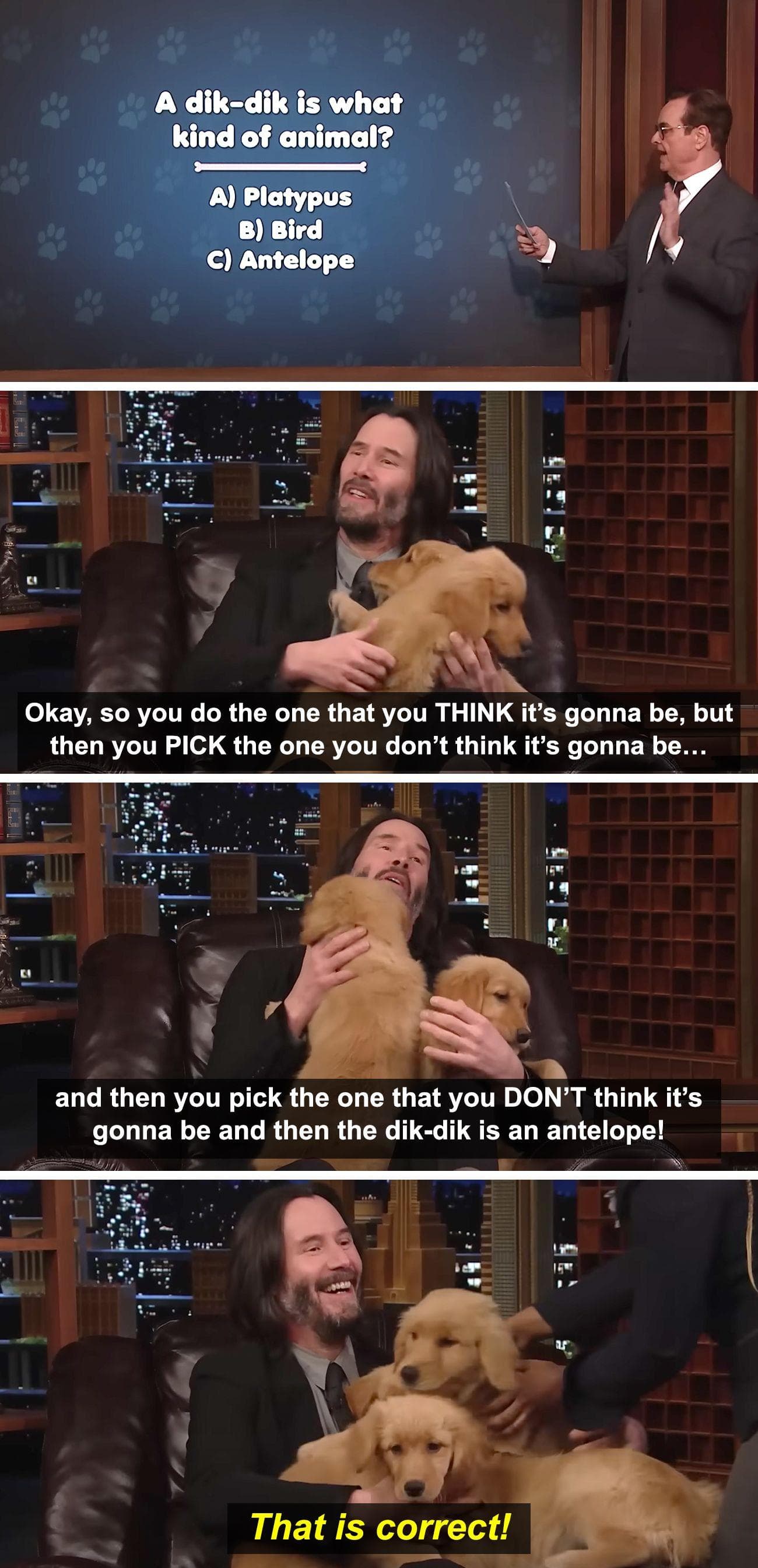 Keanu Reeves Keeps Getting Puppies With Every Right Answer